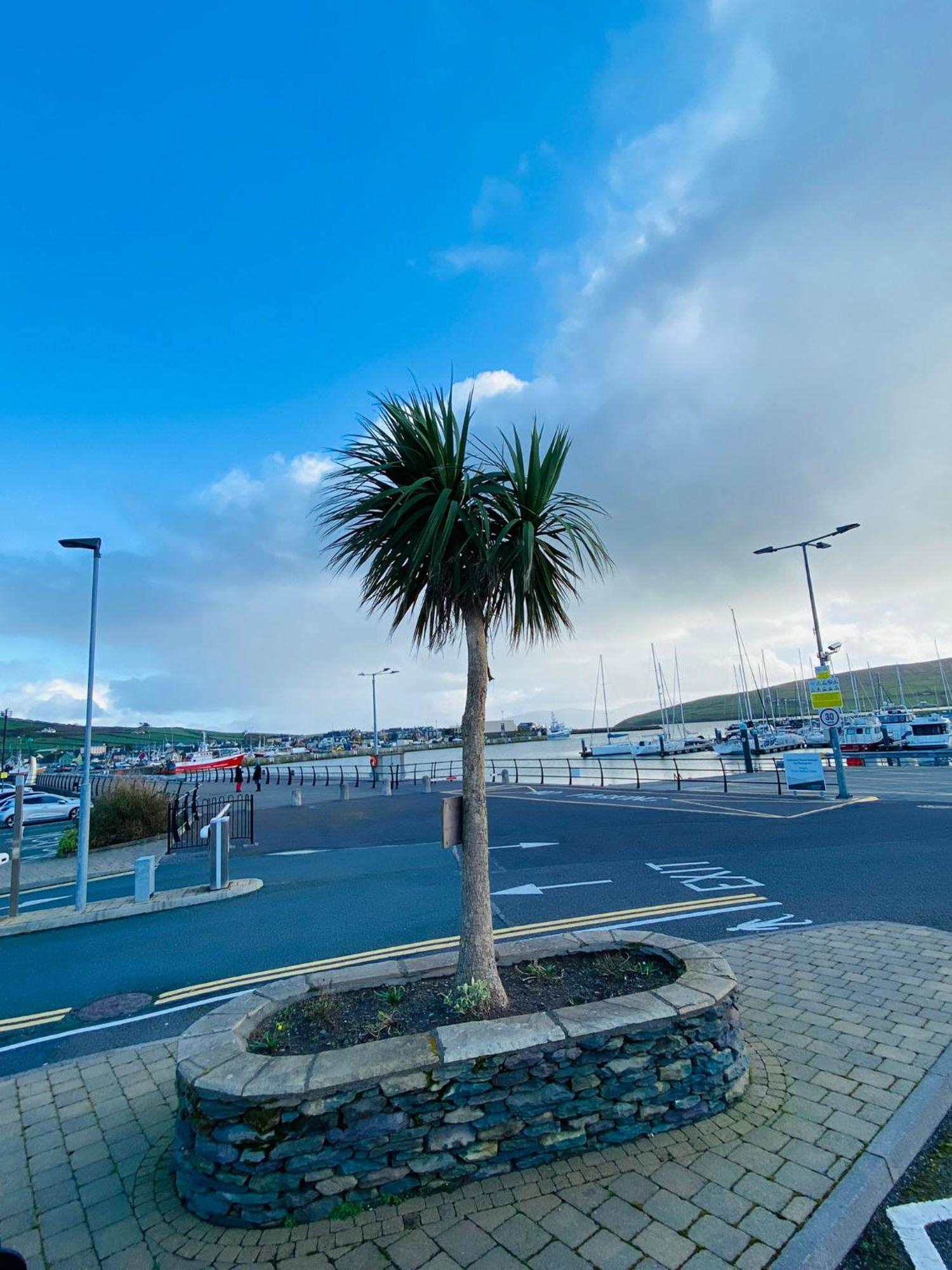 Bed and breakfast Marina Dingle